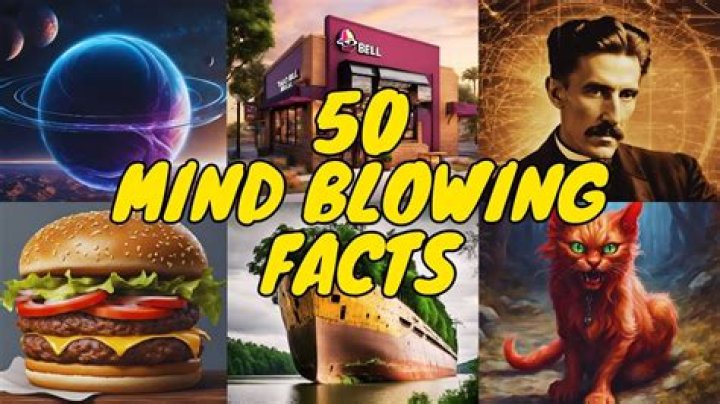 50 Mind Blowing Facts about IPL that you don't know