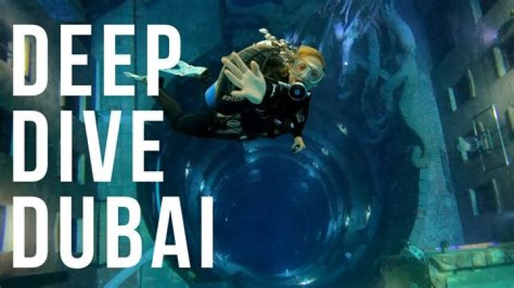 An Exclusive Deep Dive For The Finance