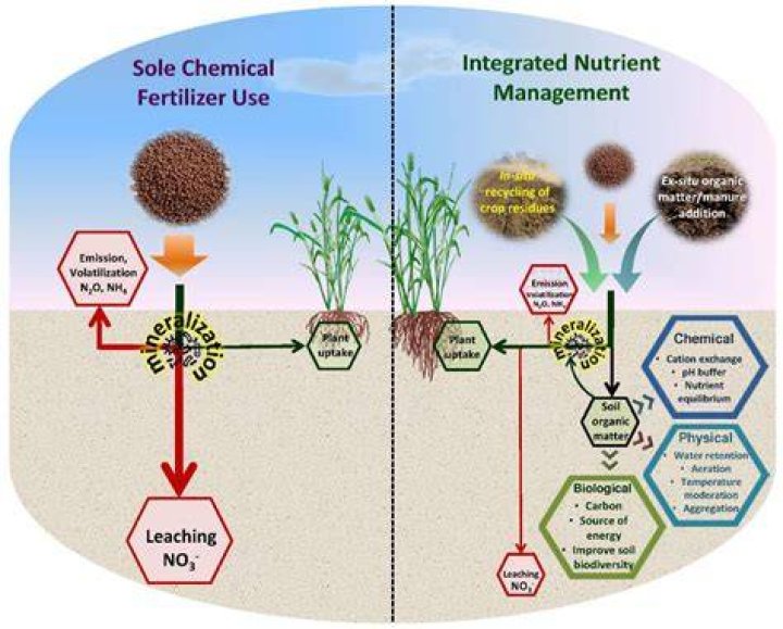 Does Fertilizer Cause Metal to Rust? thegrowingleaf