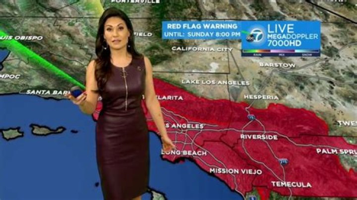 Kimi Evans (ABC7 weather) Wiki Biography, age, married, salary, family