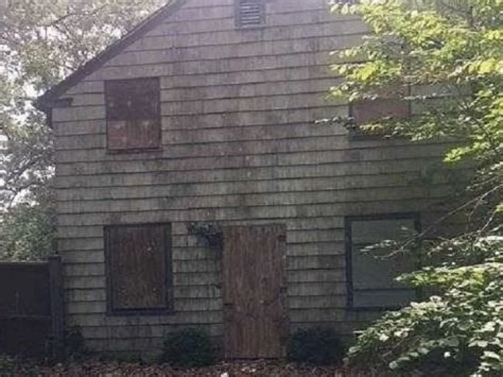 Michael Gladstein House NY Pet Hoarding Home Urban Splatter