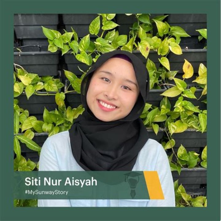 Nur Aisyah Mohd Nasir Associate Analyst Bank Negara Malaysia LinkedIn