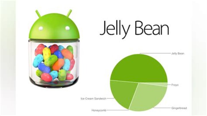 Unraveling The Enigma With Jelly Bean Brain Videos